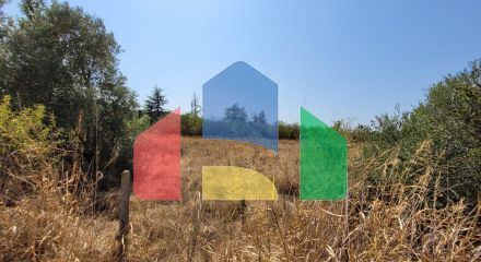 For Sale - Land 5000 m² in the suburbs of Thessaloniki