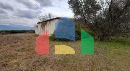 Продаж - Комерційна нерухомість 650 m² в передмісті Салонік