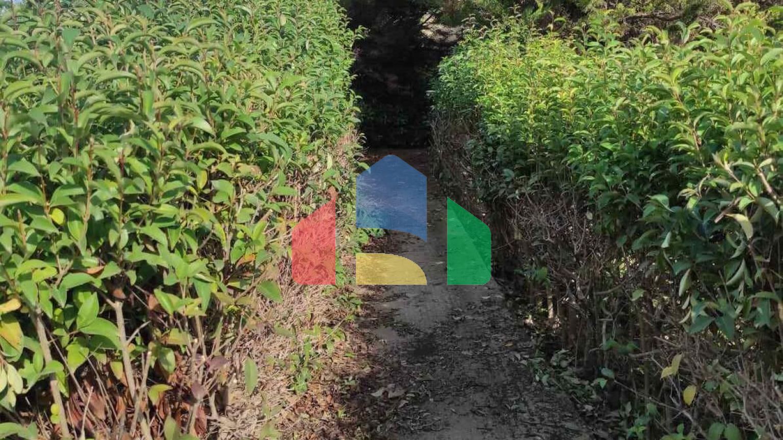 Продаж - Котедж 280 m² в передмісті Салонік