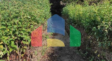 Продаж - Котедж 280 m² в передмісті Салонік