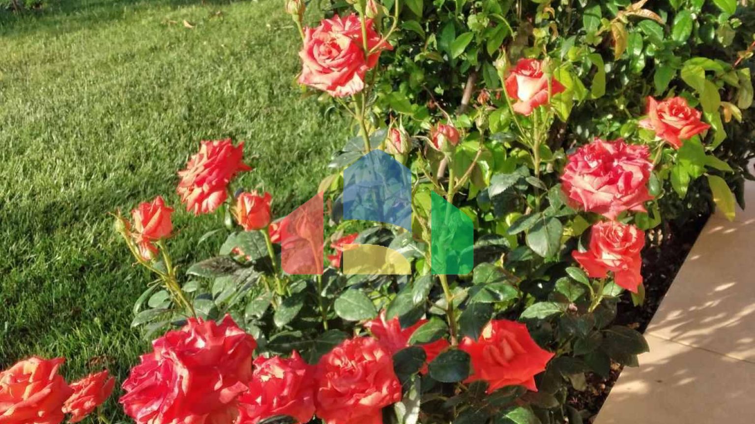 Продаж - Котедж 340 m² в передмісті Салонік