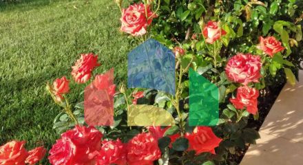 Продаж - Котедж 340 m² в передмісті Салонік