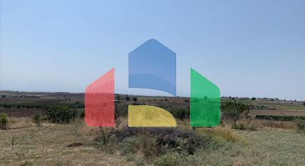 For Sale - Land 7000 m² in the suburbs of Thessaloniki