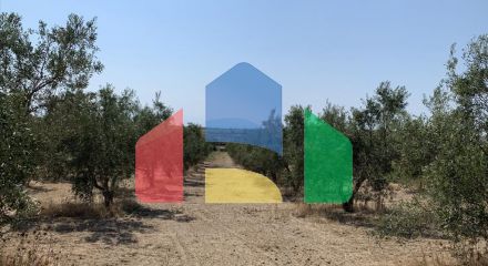 For Sale - Land 7000 m² in the suburbs of Thessaloniki