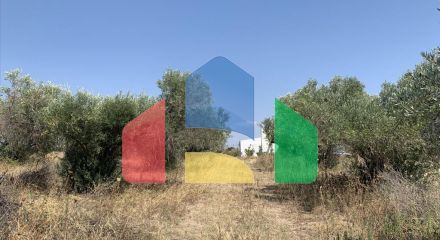 For Sale - Land 7000 m² in the suburbs of Thessaloniki