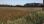 Продажа - Земельный участок 16000 m² в пригороде Салоник