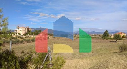 For Sale - Land 5600 m² in the suburbs of Thessaloniki