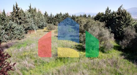 Продаж - Вілла 320 m² в передмісті Салонік Продаж - Вілла 320 m² в передмісті Салонік