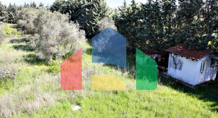 Продаж - Вілла 320 m² в передмісті Салонік Продаж - Вілла 320 m² в передмісті Салонік