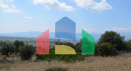 Продаж - Земельна ділянка 45000 m² Евія