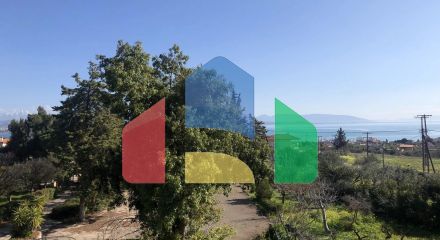 Продаж - Котедж 411 m² Евія