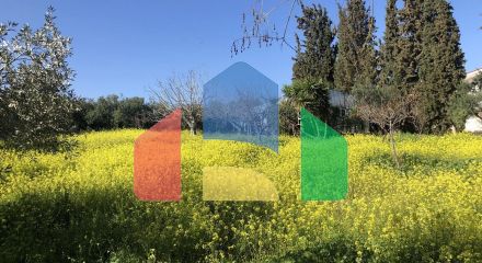 Продаж - Котедж 411 m² Евія