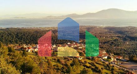 For Sale - Land 7500 m² on the Euboea island