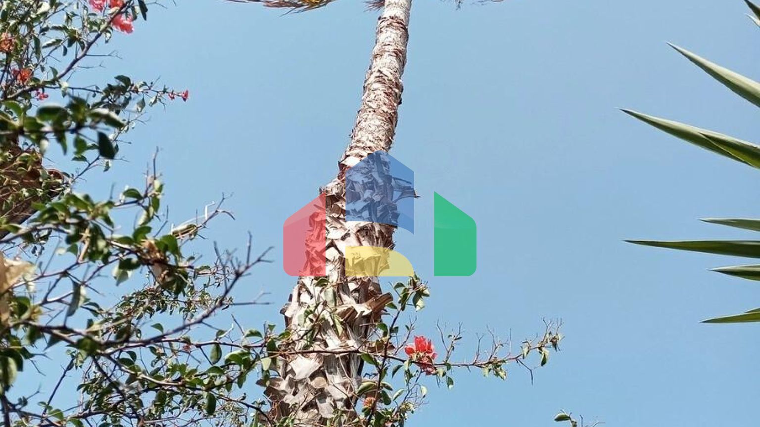 Продаж - Котедж 250 m² Евія