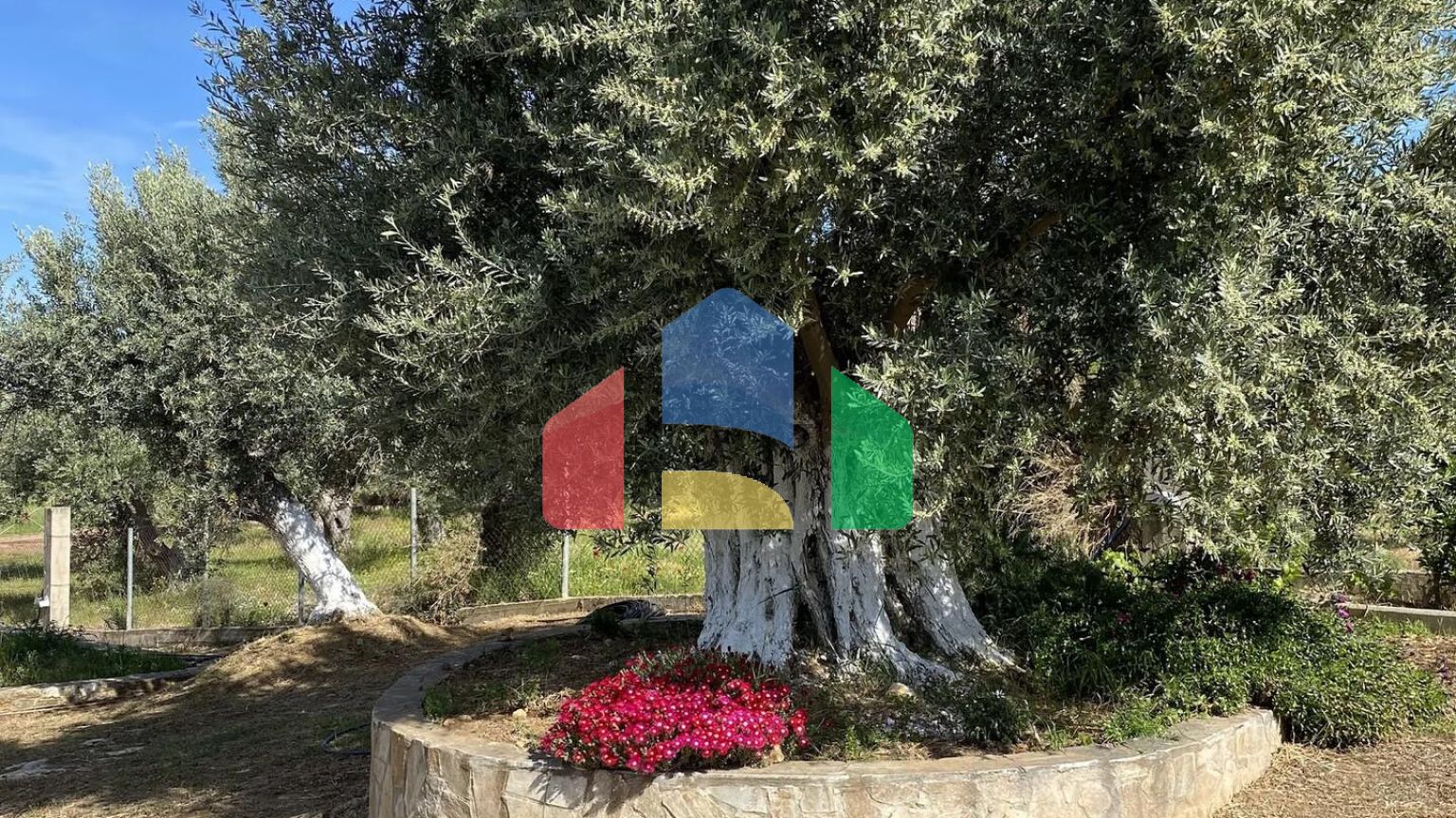 Продажа - Коттедж 150 m² Эвия