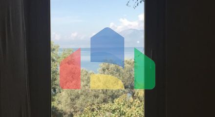 Продаж - Квартира 1406 m² Евія