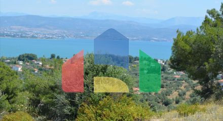 For Sale - Land 160000 m² on the Euboea island