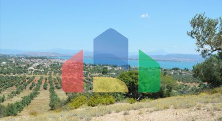 For Sale - Land 160000 m² on the Euboea island