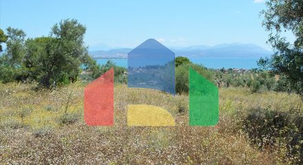 For Sale - Land 160000 m² on the Euboea island