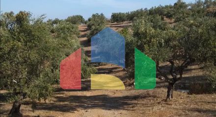 Продаж - Земельна ділянка 38000 m² Евія