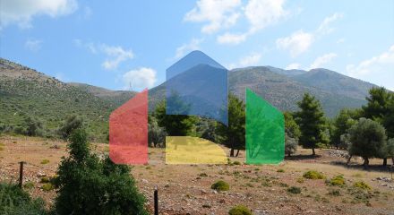 For Sale - Land 8000 m² on the Euboea island