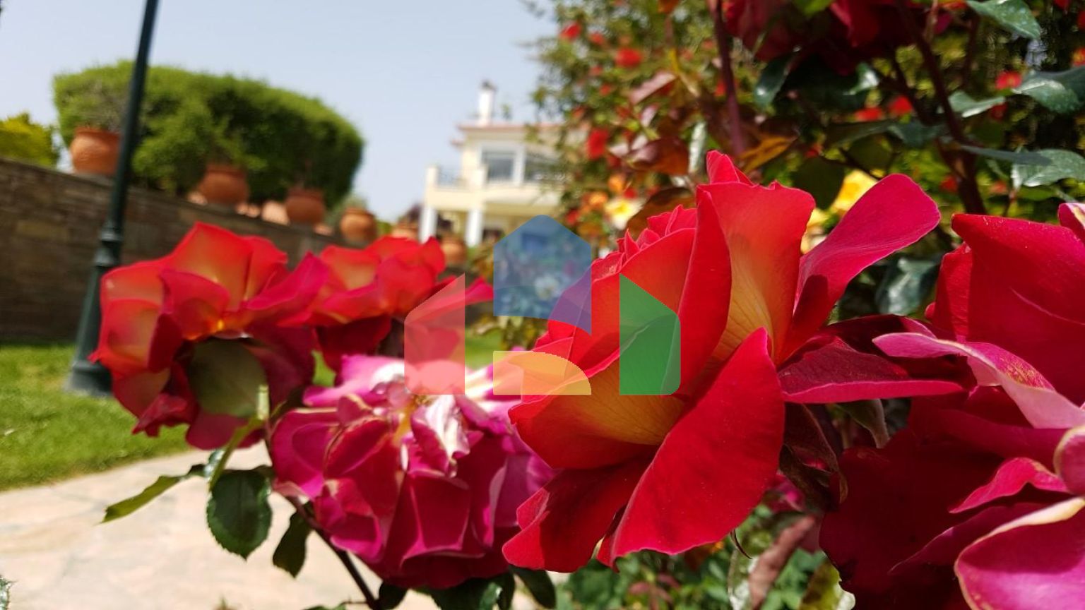 Продажа - Вилла 440 m² Эвия