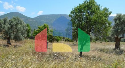 For Sale - Land 22000 m² on the Euboea island