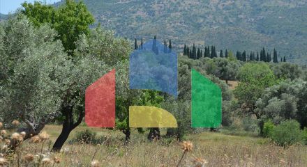 For Sale - Land 22000 m² on the Euboea island