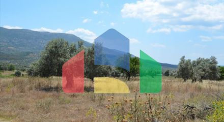 For Sale - Land 22000 m² on the Euboea island