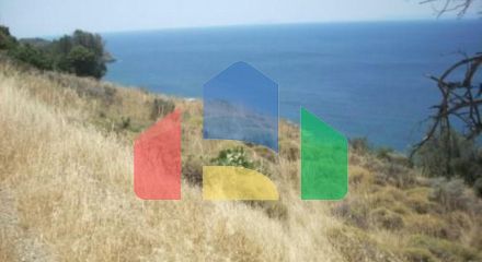 Продажа - Земельный участок 116000 m² Эвия