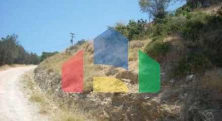 Продажа - Земельный участок 116000 m² Эвия