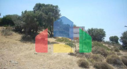 Продажа - Земельный участок 116000 m² Эвия