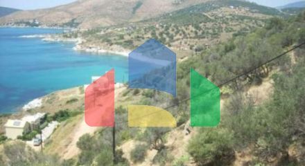 Продажа - Земельный участок 116000 m² Эвия