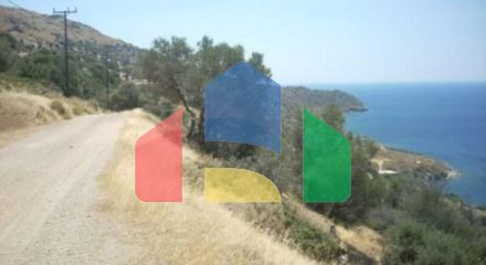 Продажа - Земельный участок 116000 m² Эвия