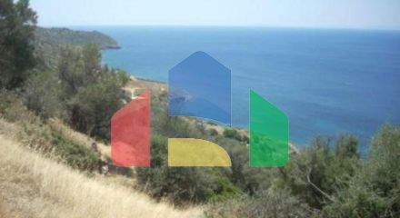 Продажа - Земельный участок 116000 m² Эвия