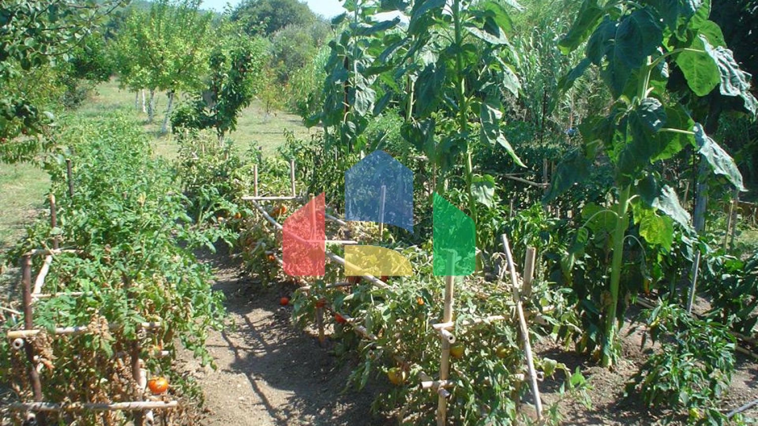 Продаж - Котедж 120 m² Евія