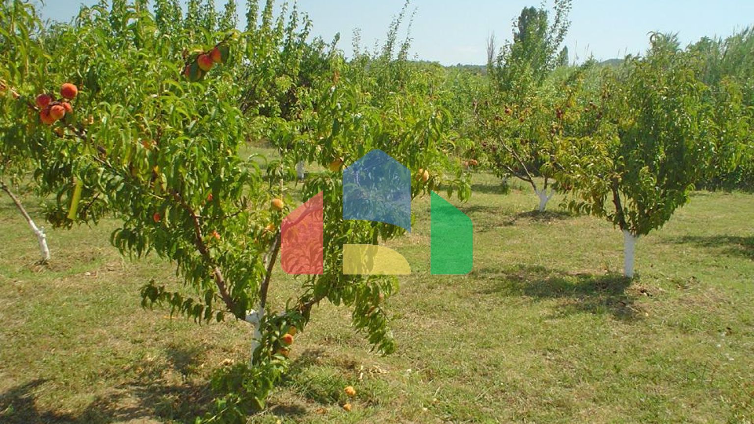 Продаж - Котедж 120 m² Евія