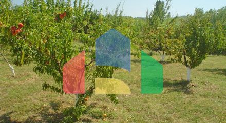 Продаж - Котедж 120 m² Евія