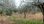 For Sale - Land 1625 m² on the Euboea island