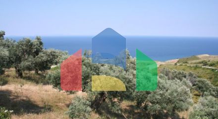 Продаж - Земельна ділянка 6250 m² Евія