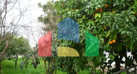 Продажа - Земельный участок 480 m² Эвия