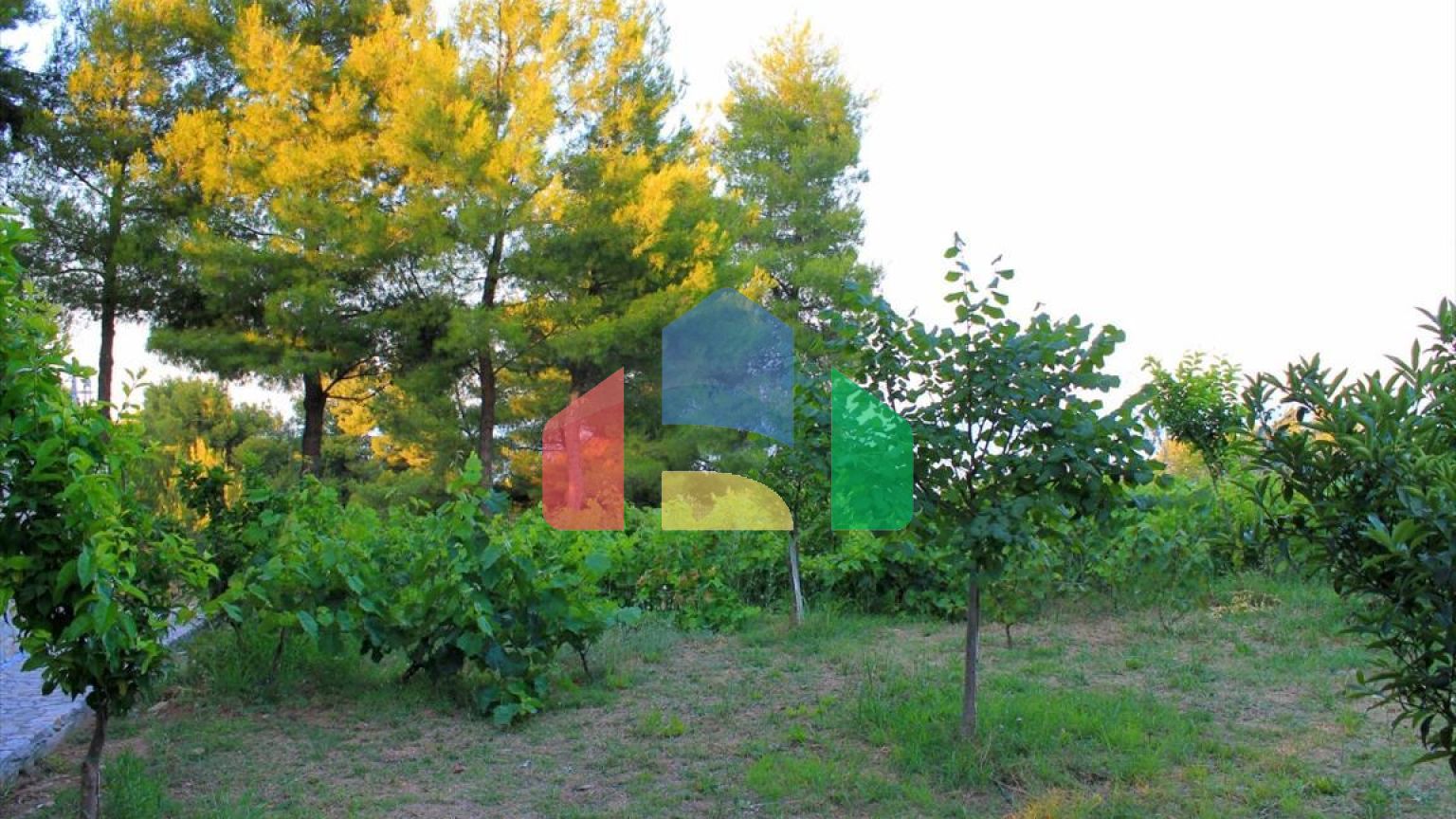 Продажа - Вилла 250 m² Эвия