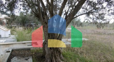 Продаж - Котедж 420 m² Евія