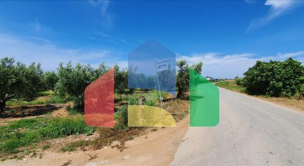 For Sale - Land 4686 m² in Chalkidiki
