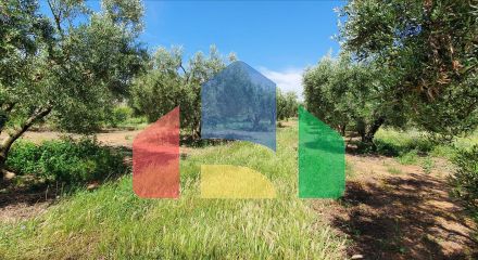 For Sale - Land 4686 m² in Chalkidiki