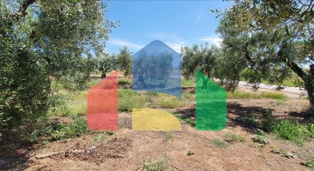 For Sale - Land 4686 m² in Chalkidiki