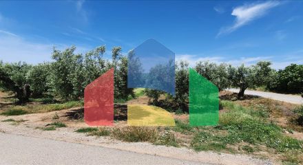 For Sale - Land 4686 m² in Chalkidiki