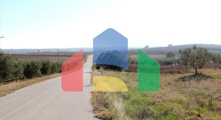 Продаж - Земельна ділянка в Халкидіках