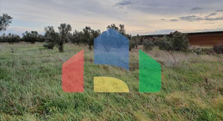 For Sale - Land 10000 m² in Chalkidiki