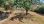 For Sale - Land 900 m² in Chalkidiki